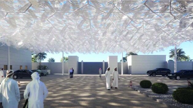 Shadow of Ghaf Canopy, Palace, Abu Dhabi